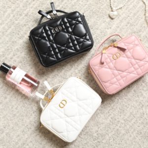 Dior Square Camera Bag